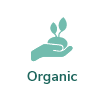 organic White & Private label Active Hemp CBD Shampoo supplied in a 250ml fully recyclable, twist top, pump dispensed, airless container