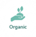 Organic White & Private label Active Hemp CBD Hand Cream Intense 